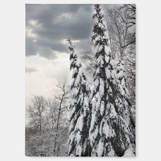 Sneeuw bedekte groenblijvende bomen onder dramatis magneet