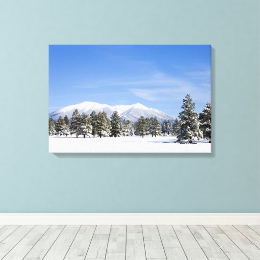 Sneeuw bedekte Prairie Pines en San Francisco Peak Canvas Afdruk (Insitu (Houten vloer))