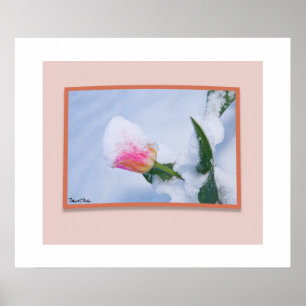 Sneeuw bedekte roze tulp poster