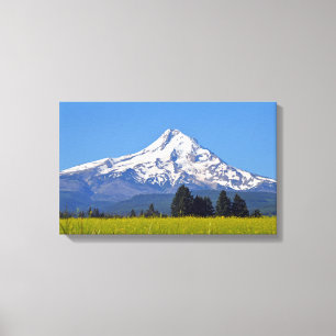 Sneeuw begrensd Mt Hood in Oregon, Verenigde State Canvas Afdruk