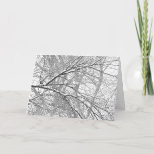 Sneeuw Bomen Feestdagen Kaart