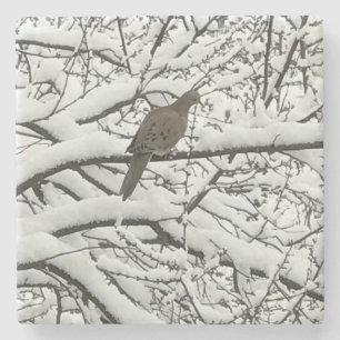 Sneeuw Boom Takken Vogel (fotografie door mij) Stenen Onderzetter