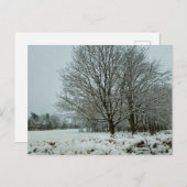 sneeuw briefkaart (Voorkant / Achterkant)