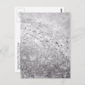 Sneeuw Briefkaart (Voorkant / Achterkant)