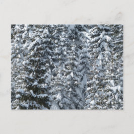 Sneeuw Dennenboom Textuur Briefkaart
