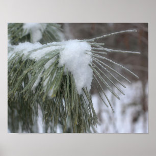 sneeuw en ijs bedekt met pijnbomen Winter Poster