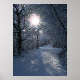 Sneeuw en licht poster