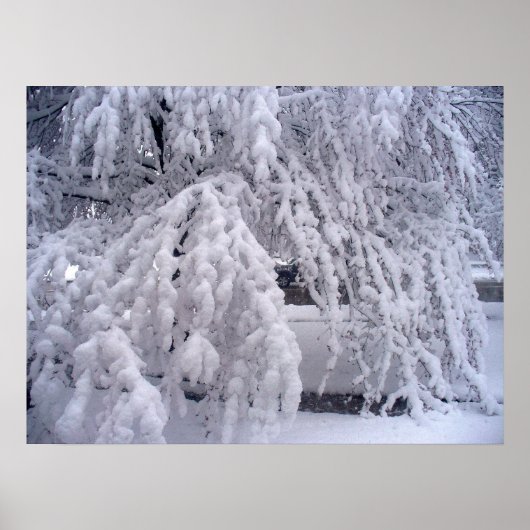 sneeuw in april Poster (Voorkant)