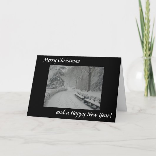 Sneeuw in Central Park Feestdagen Kaart (Voorkant)