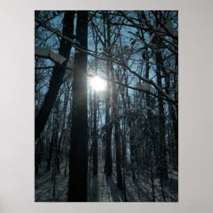 Sneeuw in de Bossen Poster