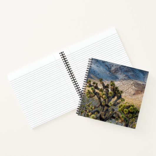 sneeuw in de doodvallei notitieboek (Binnen)