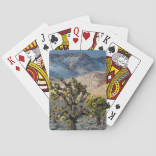 sneeuw in de doodvallei pokerkaarten