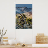 sneeuw in de doodvallei poster (Keuken)