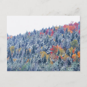 Sneeuw in de herfst briefkaart