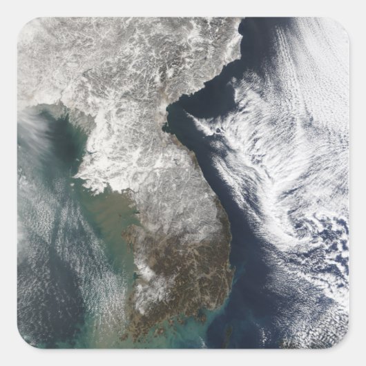 Sneeuw in Korea Vierkante Sticker (Voorkant)