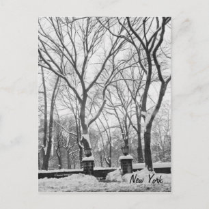 Sneeuw in New York Briefkaart