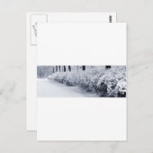 Sneeuw in Zweden Briefkaart (Voorkant / Achterkant)