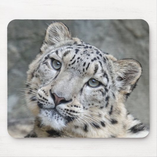 Sneeuw Leopard Closeup Face Muismat (Voorkant)