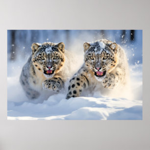 Sneeuw Leopard Dier Natuur Majestic Wild Poster