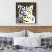 Sneeuw Leopard Verpakt Canvas Afdruk (Insitu (Slaapkamer))