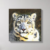 Sneeuw Leopard Verpakt Canvas Afdruk (Voorkant)