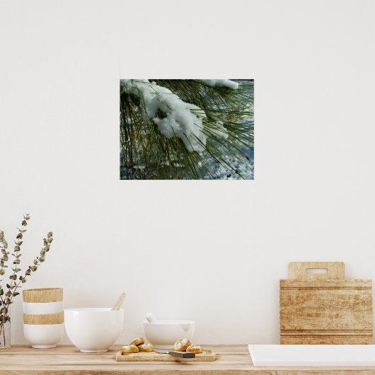 Sneeuw op een Pine Tree Branch Poster (Keuken)
