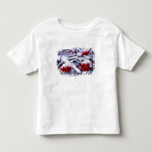Sneeuw op Europese lijsterbesbessen, Utah. Kinder Shirts