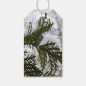 Sneeuw op Evergreen Branches Cadeaulabel (Voorkant)