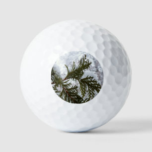 Sneeuw op Evergreen Branches Golfballen