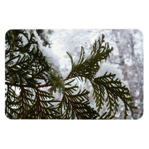 Sneeuw op Evergreen Branches Magneet