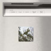 Sneeuw op Evergreen Branches Magneet (Insitu (Vaatwasser))