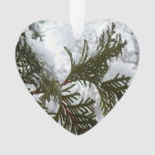 Sneeuw op Evergreen Branches Ornament (voorkant)