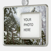 Sneeuw op Evergreen Branches Verzilverd Kader Ornament (Links)