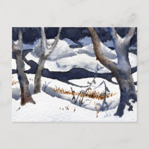 "Sneeuw op het Briefkaart van de landwegen Elk"