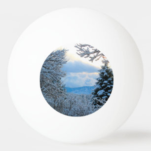 Sneeuw op pijnbomen in het colorado Rocky Mountain Pingpongballen