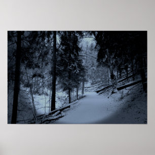 Sneeuw op Wandelpad 3 Poster