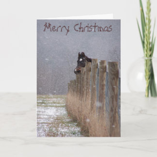 Sneeuw Paarden, Vrolijke Kerstmis Feestdagen Kaart
