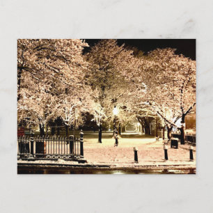 Sneeuw Salem Common Massachusetts Foto Briefkaart