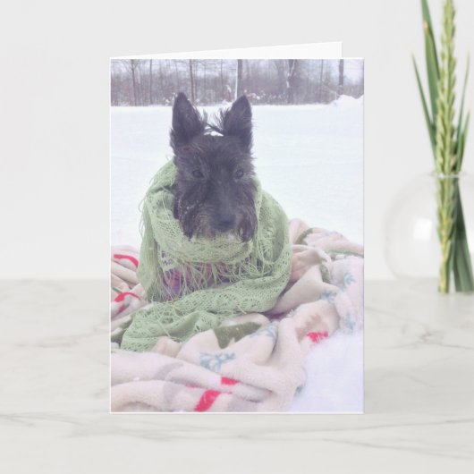 Sneeuw Scottie Kaart (Voorkant)