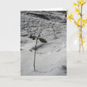 "Sneeuw Spruit" kerstkaart Kaart (Gele Bloem)