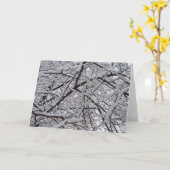 Sneeuw Takken Kaart (Gele Bloem)