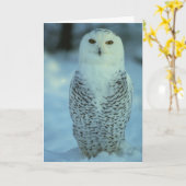 Sneeuw Uil Kaart (Gele Bloem)