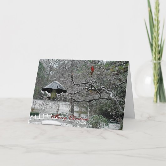 sneeuw vogels 5 feestdagen kaart (Voorkant)
