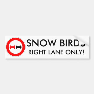 Sneeuw Vogels Bumpersticker