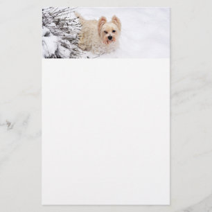 Sneeuw Westie Hond Fotobriefpapier Papier