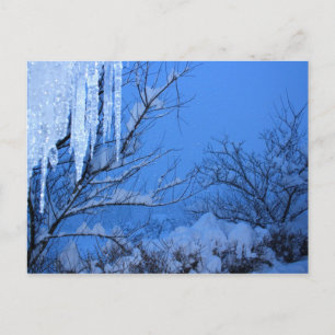 sneeuw - winter briefkaart