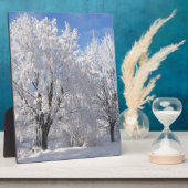 sneeuw , witte bomen in de winter fotoplaat (Zijkant)