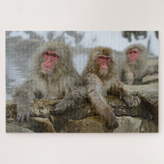Sneeuwapen in Hot Spring Pool in Japan Legpuzzel