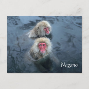 Sneeuwapen in Nagano, Japan Briefkaart