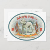 Sneeuwbal voor de hond briefkaart (Voorkant / Achterkant)